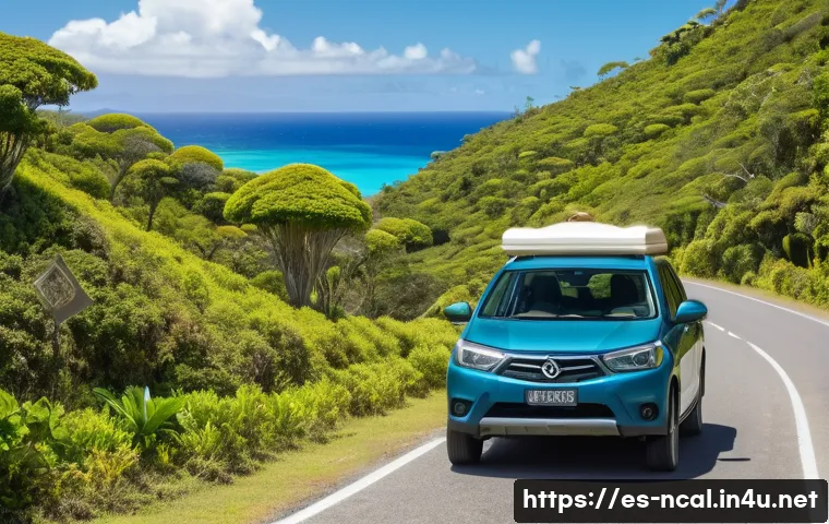 누벨칼레도니 안전 여행 팁 관련 이미지 2